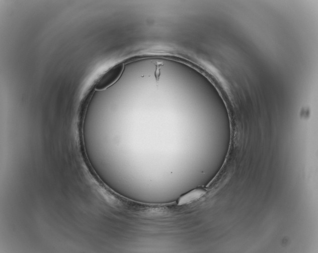 X0000096181464200802011331