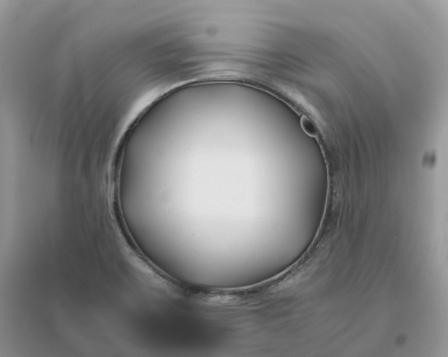 X0000096181467200802011331