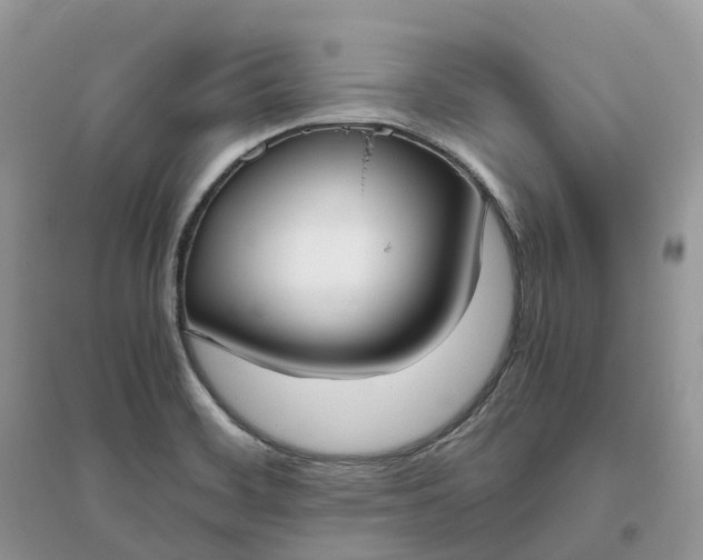 X0000096181468200802011331
