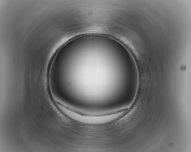 X0000096181469200802011331