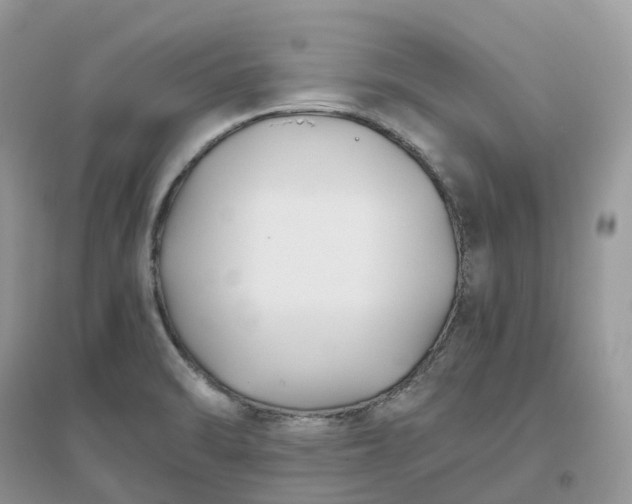 X0000096181470200802011331
