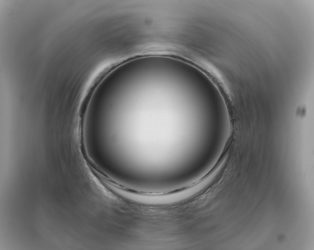 X0000096181472200802011331