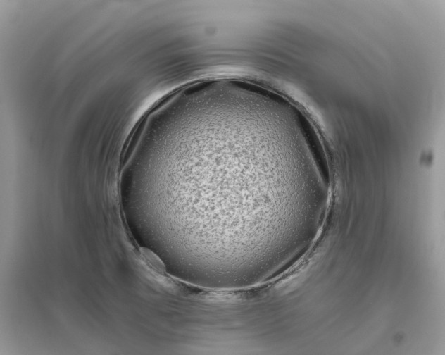 X0000096181473200802011331