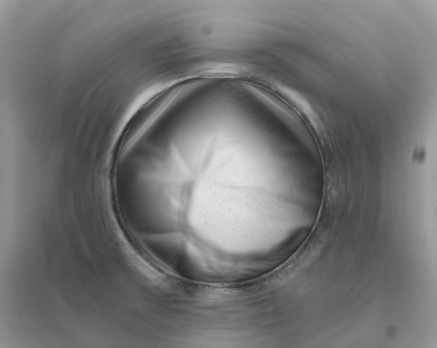 X0000096181475200802011331