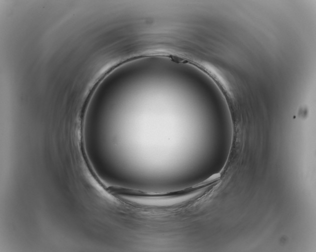 X0000096181476200802011330