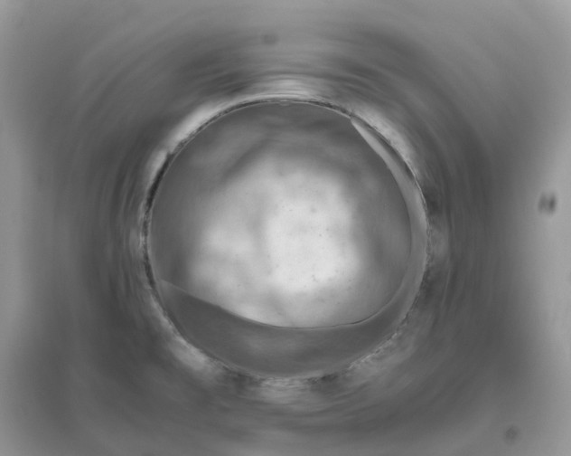 X0000096181477200802011330