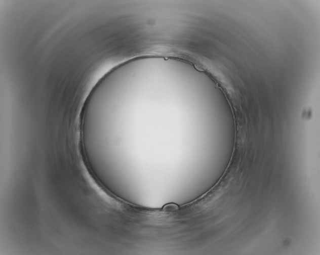 X0000096181479200802011330