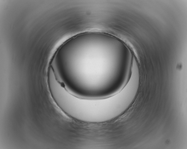 X0000096181480200802011330