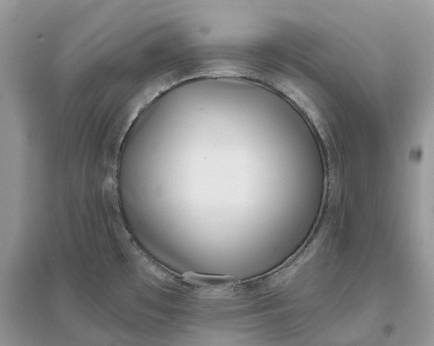X0000096181481200802011330