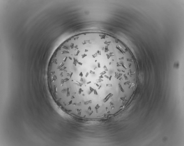 X0000096181482200802011330