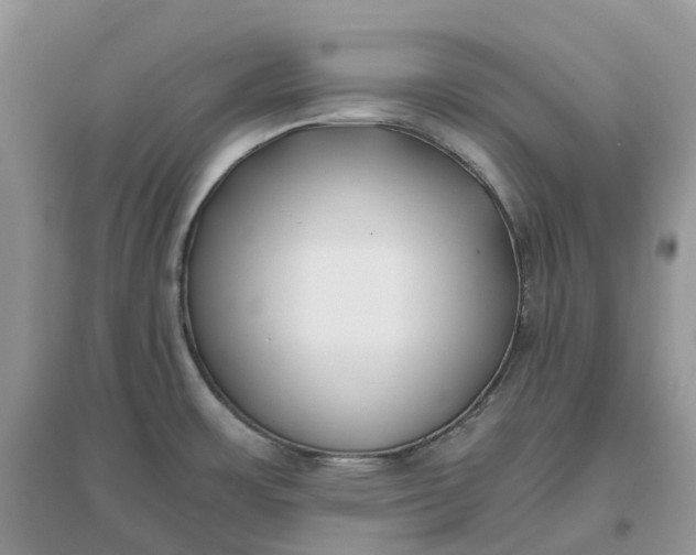 X0000096181483200802011330