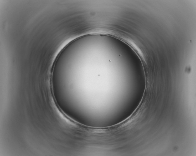 X0000096181484200802011330