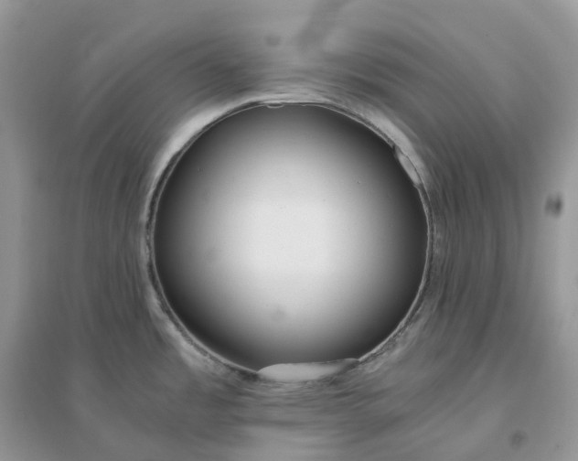 X0000096181485200802011330