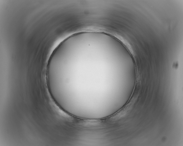X0000096181486200802011330