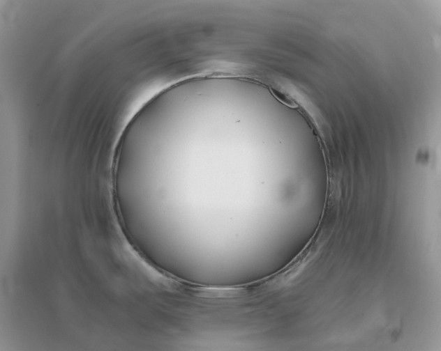 X0000096181487200802011330
