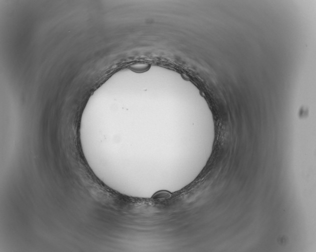 X0000096181489200802011330