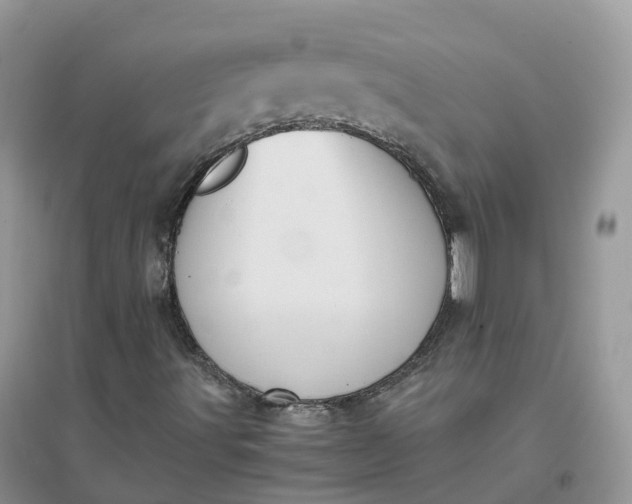 X0000096181491200802011330