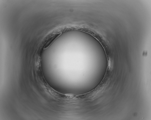 X0000096181492200802011330