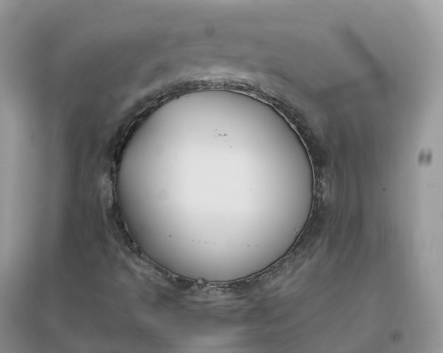 X0000096181493200802011330