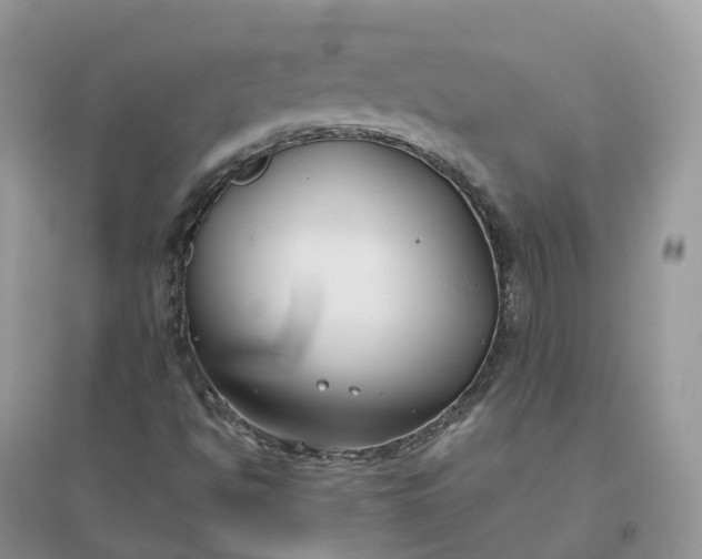X0000096181494200802011330