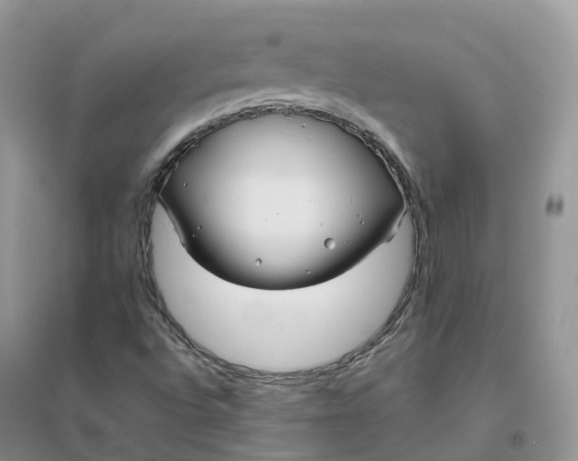 X0000096181496200802011330
