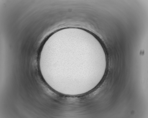 X0000096181498200802011330