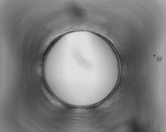 X0000096181499200802011330