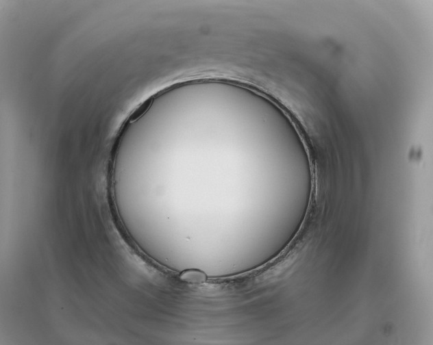 X0000096181500200802011330