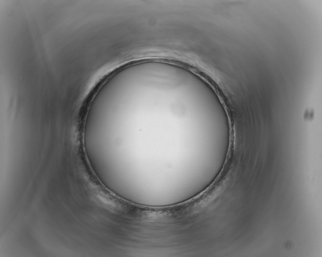 X0000096181501200802011330