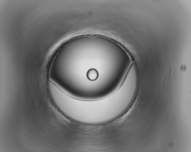 X0000096181502200802011330