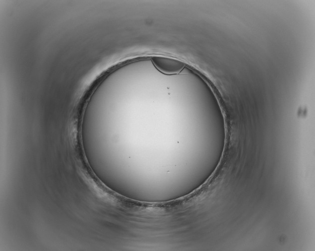 X0000096181503200802011330
