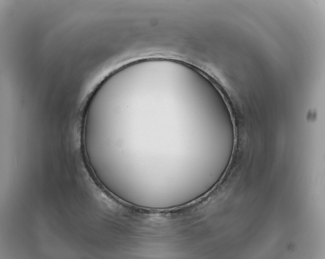 X0000096181504200802011330