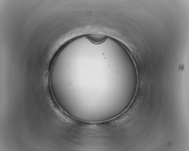 X0000096181507200802011330