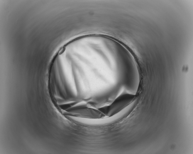 X0000096181508200802011330