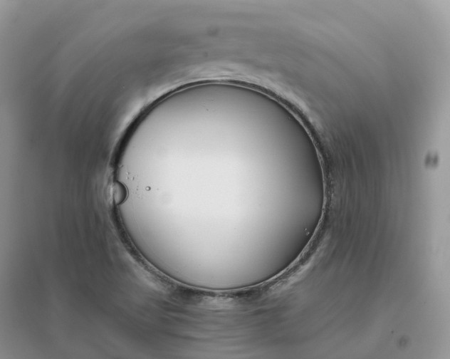 X0000096181509200802011330