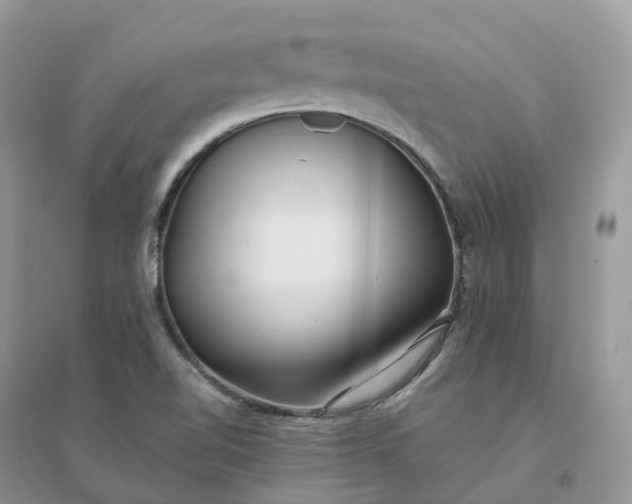 X0000096181510200802011330
