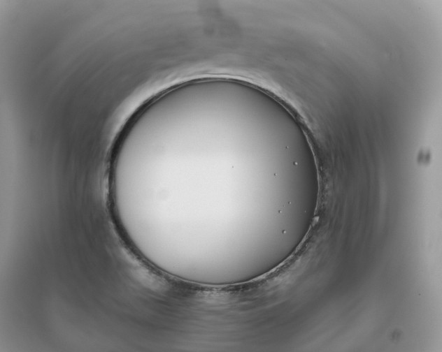 X0000096181511200802011330