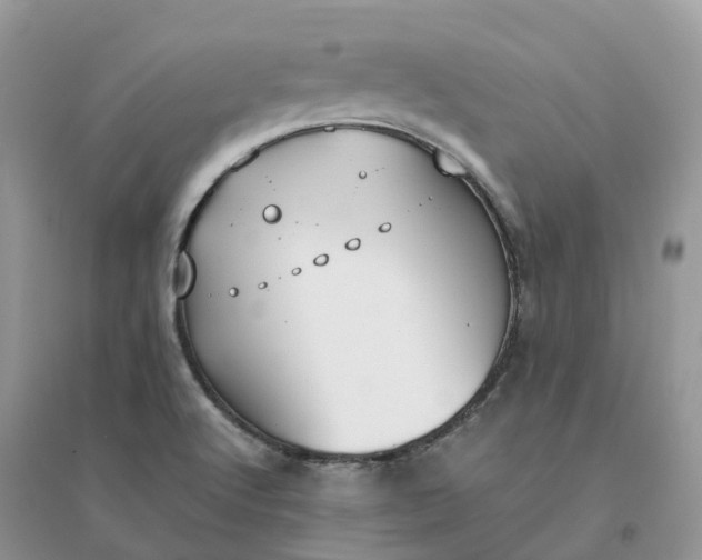 X0000096181512200802011330