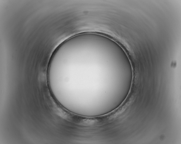 X0000096181513200802011330