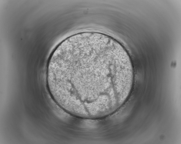 X0000096181514200802011330