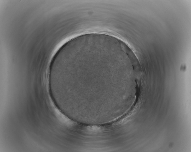 X0000096181515200802011330