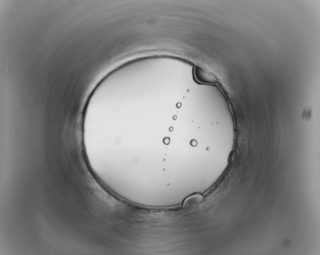X0000096181516200802011330