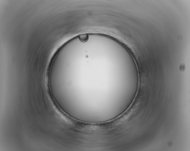 X0000096181517200802011330