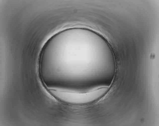X0000096181518200802011330