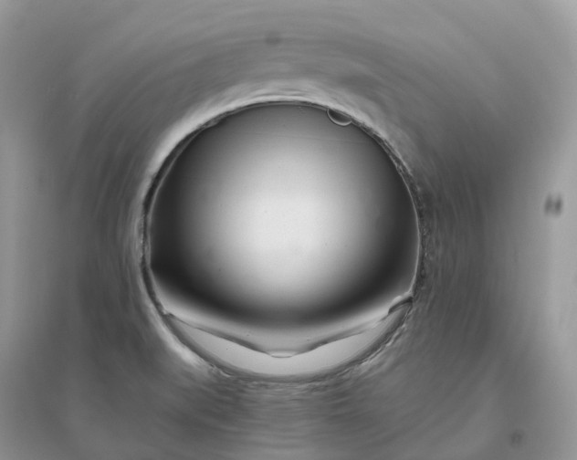 X0000096181519200802011330
