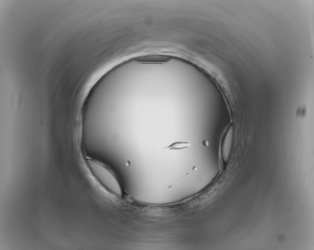 X0000096181520200802011330