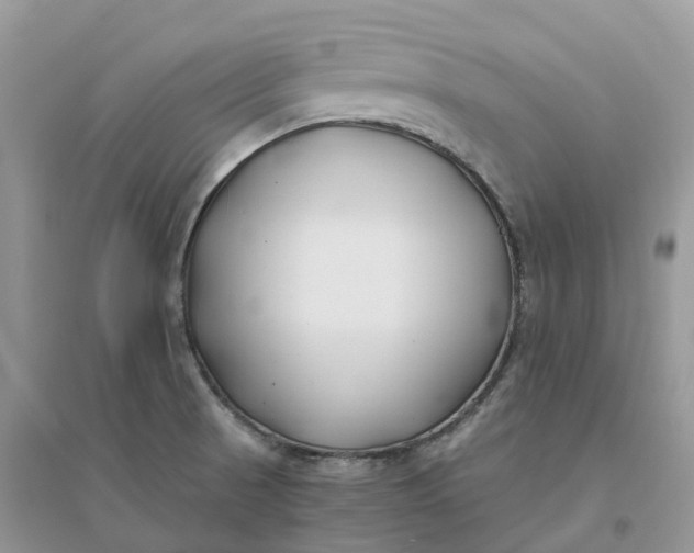 X0000096181521200802011330