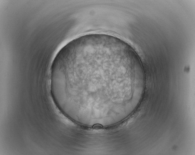 X0000096181522200802011330