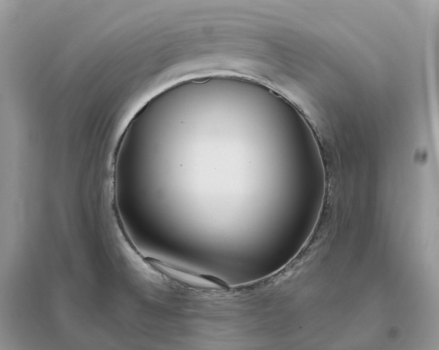 X0000096181524200802011330