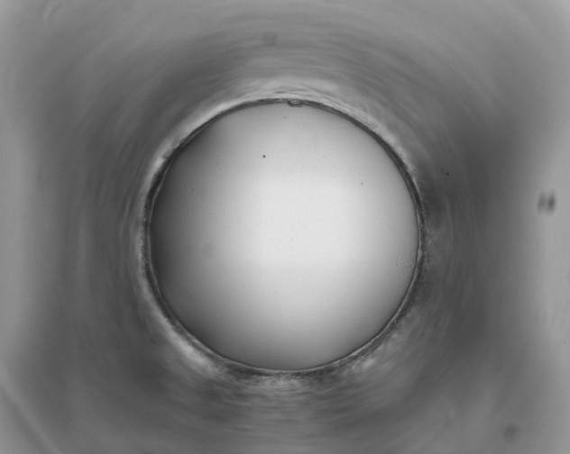 X0000096181525200802011330
